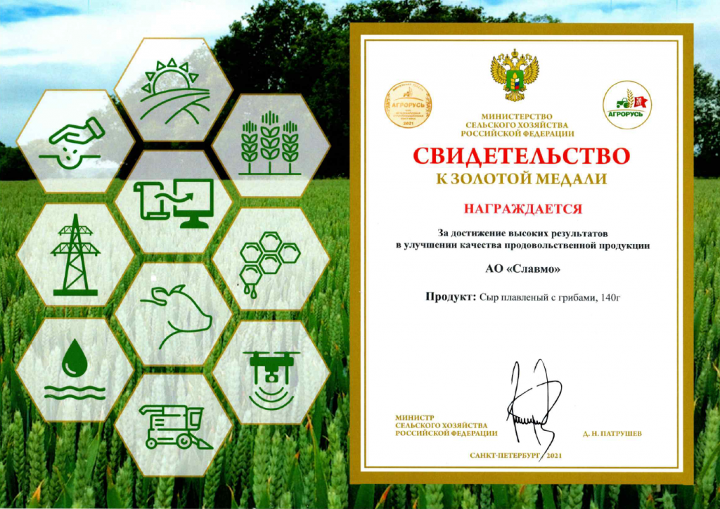 сыр грибы.png сыр грибы.png